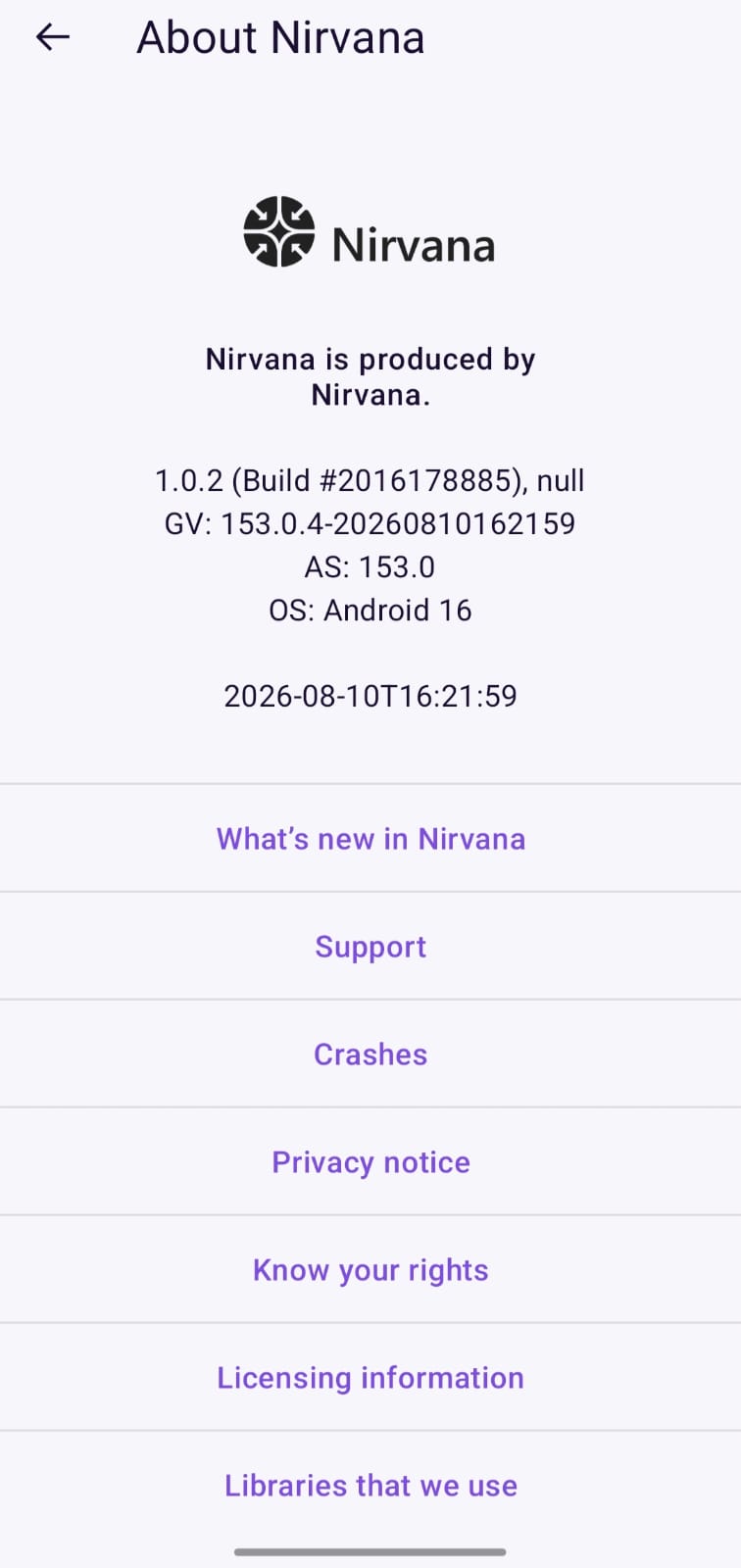 About Nirvana Build Metadata